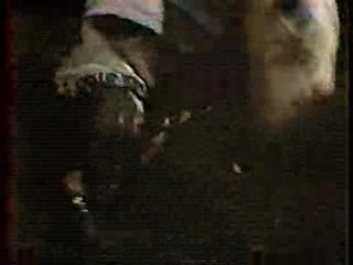 1) China Beach and 2) Rutger Hauer movie