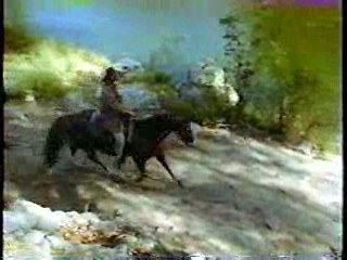 Silk Stalkings, Dr Quinn, Laugh In