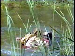 Silk Stalkings, Dr Quinn, Laugh In