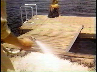 Daughters of Privilidge