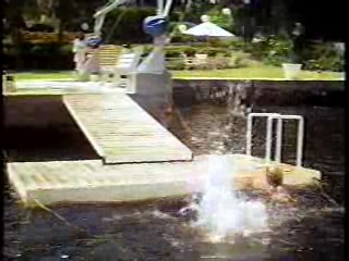 Daughters of Privilidge