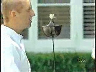 Brothers and Sisters (2006)