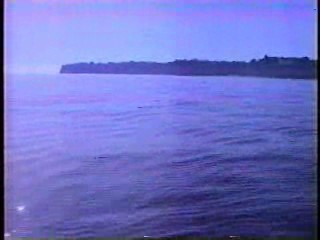 Two of a Kind, Baywatch