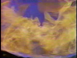 Two of a Kind, Baywatch