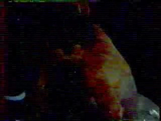 James Bond, Anna Nicole Smith