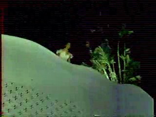 James Bond, Anna Nicole Smith