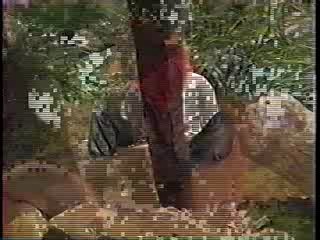 Nona Gaye, Kate Capshaw