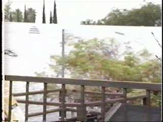 Sweet Charity, Wet T Shirt scene