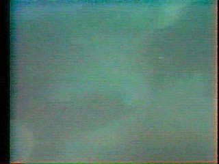 Nikki Taylor, Camilla Sparv