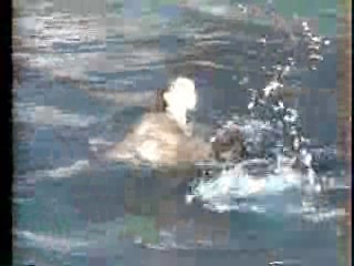 Nikki Taylor, Camilla Sparv