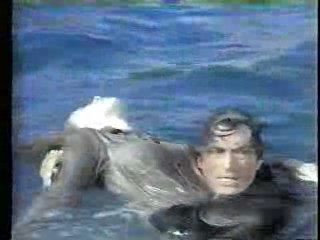 Nikki Taylor, Camilla Sparv