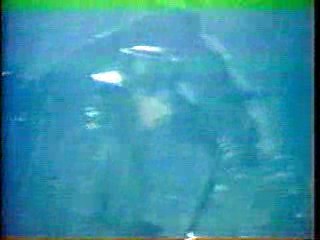 Ally Walker, Teri Hatcher, Gilligan's Island