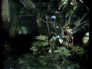 Ally Walker, Teri Hatcher, Gilligan's Island