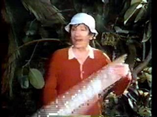 Ally Walker, Teri Hatcher, Gilligan's Island