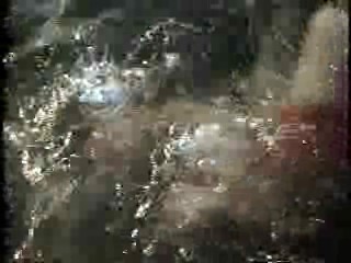 Underwater Wedding,  What Would You Do