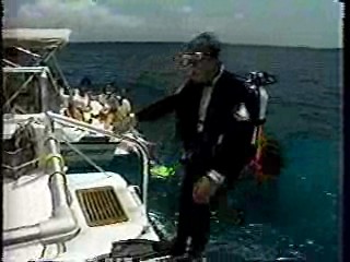 Underwater Wedding,  What Would You Do