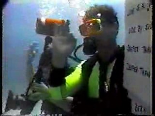 Underwater Wedding,  What Would You Do