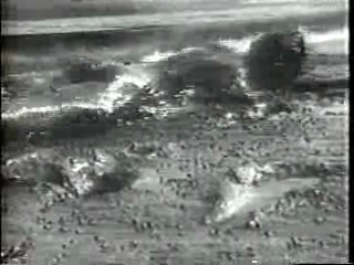 Mud Play, Walter Mitty, Dr Quinn, Bride in Pool