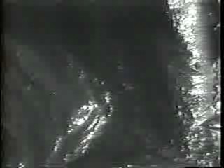 Mud Play, Walter Mitty, Dr Quinn, Bride in Pool