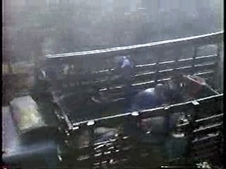 Lindsey Wagner TV movie