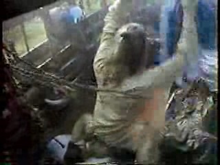 Lindsey Wagner TV movie