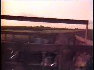 Lindsey Wagner TV movie