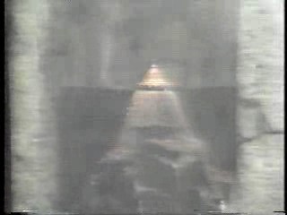 Poison Ivy, Euro Park