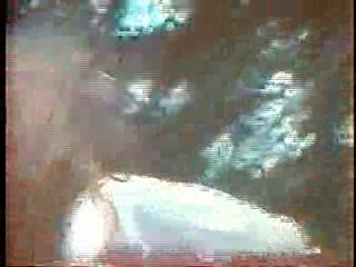 Poison Ivy, Euro Park