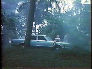 Poison Ivy, Euro Park