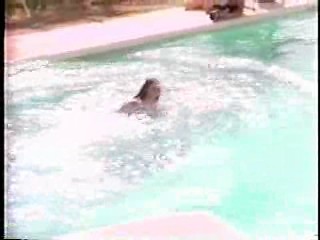 Wings, Shirley Maclaine, Wet Girdles