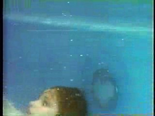 Melrose Place,  Silk Stalkings