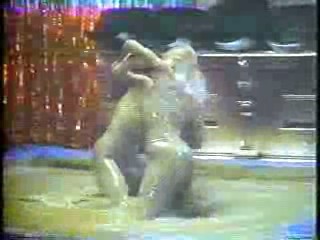 Burkes Law (re-make series)