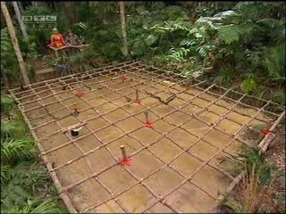 Ich bin ein Star â€“ Holt mich hier raus!