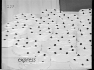 Tortenschlacht - mass pie fight