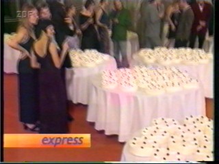 Tortenschlacht - mass pie fight