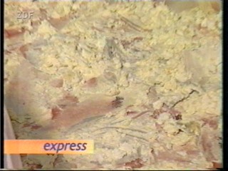 Tortenschlacht - mass pie fight