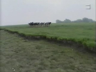 Liebe Sunde- Paint and Mud