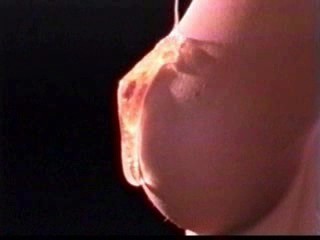 Playboy Playmate in oil - Jodi Ann Peterson