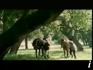 Lynx Commercial, Date Movie