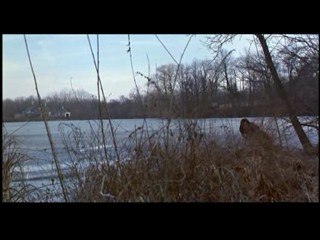 Chain Reaction (1996)