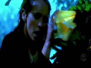 The Ghost Whisperer (2005)