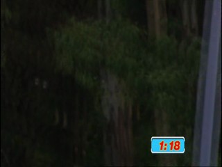 Total Wipeout Celebrity Special 