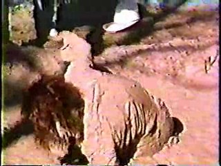 The Ranch,  Major Dad