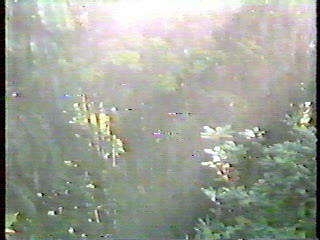 Julie McCullogh,  Anita Byrant,  Barbara Mandrell