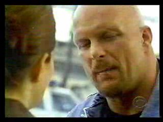 As the World Turns,  Nash Bridges