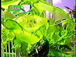 Slime Time Live - Mothers Day