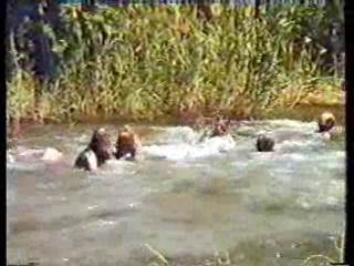 Mud Bathing,  Noel's House Party, UK Comic Relief.