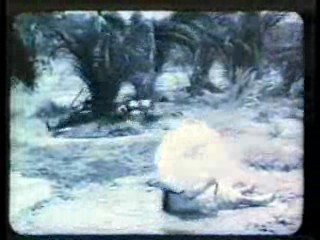 Noel's House Party,  Hollywood Cavalcade