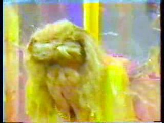 Coromist,  Noel's House Party