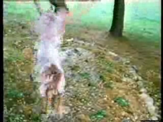 How Dare You,  Red Neck Games